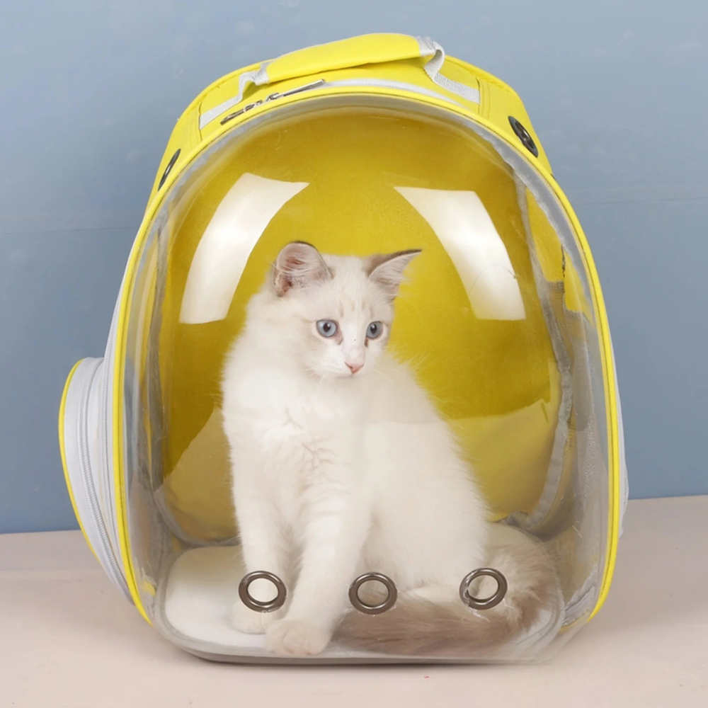 Sac à Dos Transparent pour Chat et Petit Chien