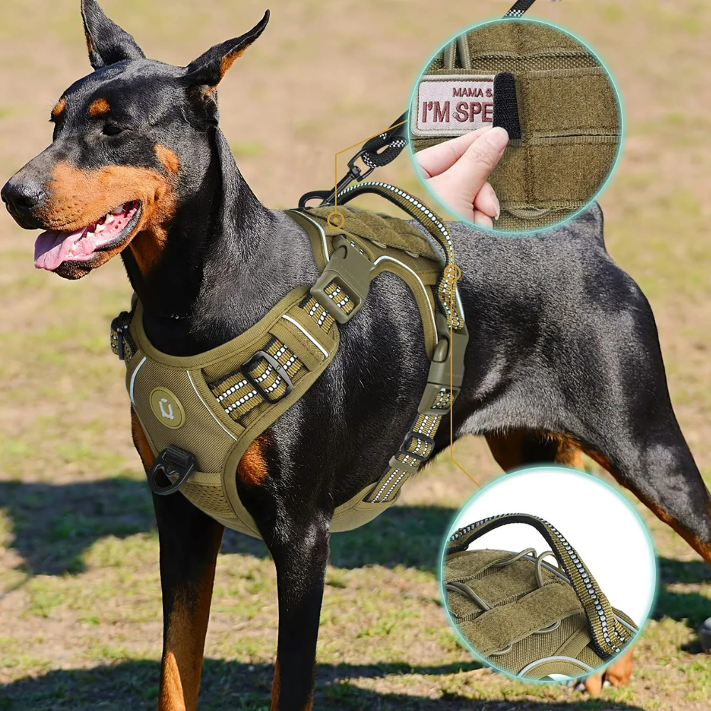 Harnais Tactique Anti-traction pour Chien