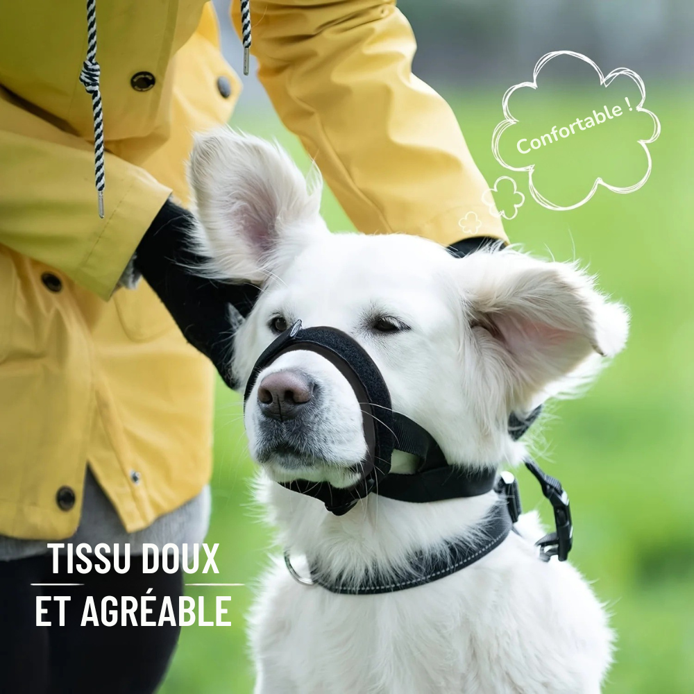 Muselière Ajustable en Maille Respirante pour Chiens