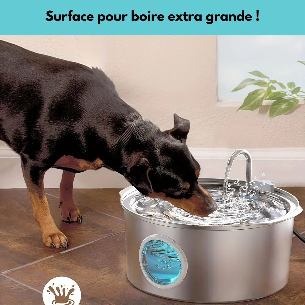 Fontaine inox grande capacité 7L pour Chien