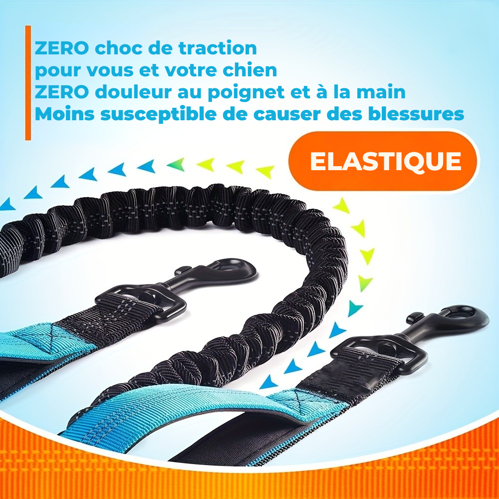 Laisse Elastique Mains Libres pour Chien