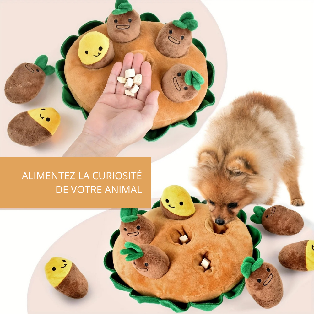 Jouet de Fouille Interactif avec Légumes Amovibles