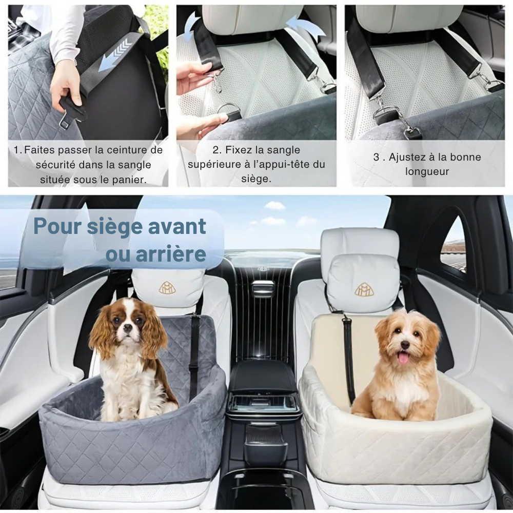 Siège canapé voiture pour petits et moyens chiens