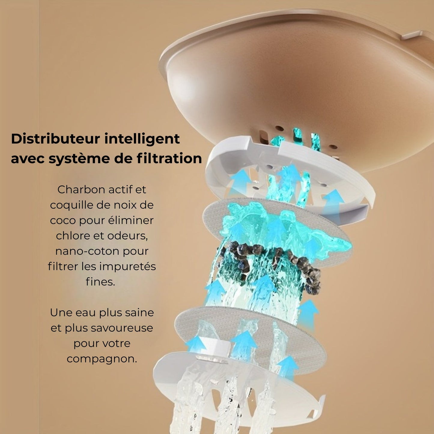 2 en 1 Distributeur automatique nourriture & eau pour chien et chat