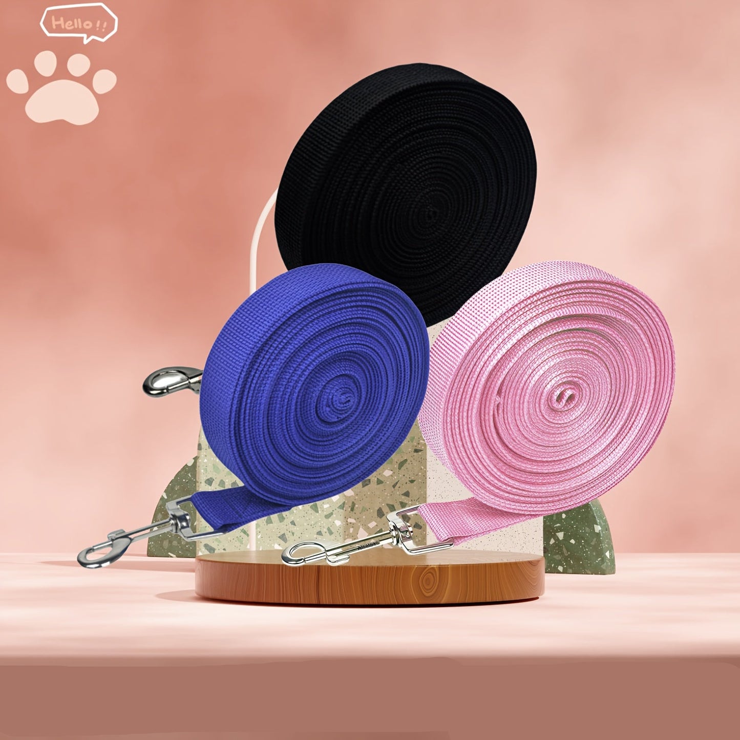 Longe Plate Multicolore – 5M et 10M pour Chien