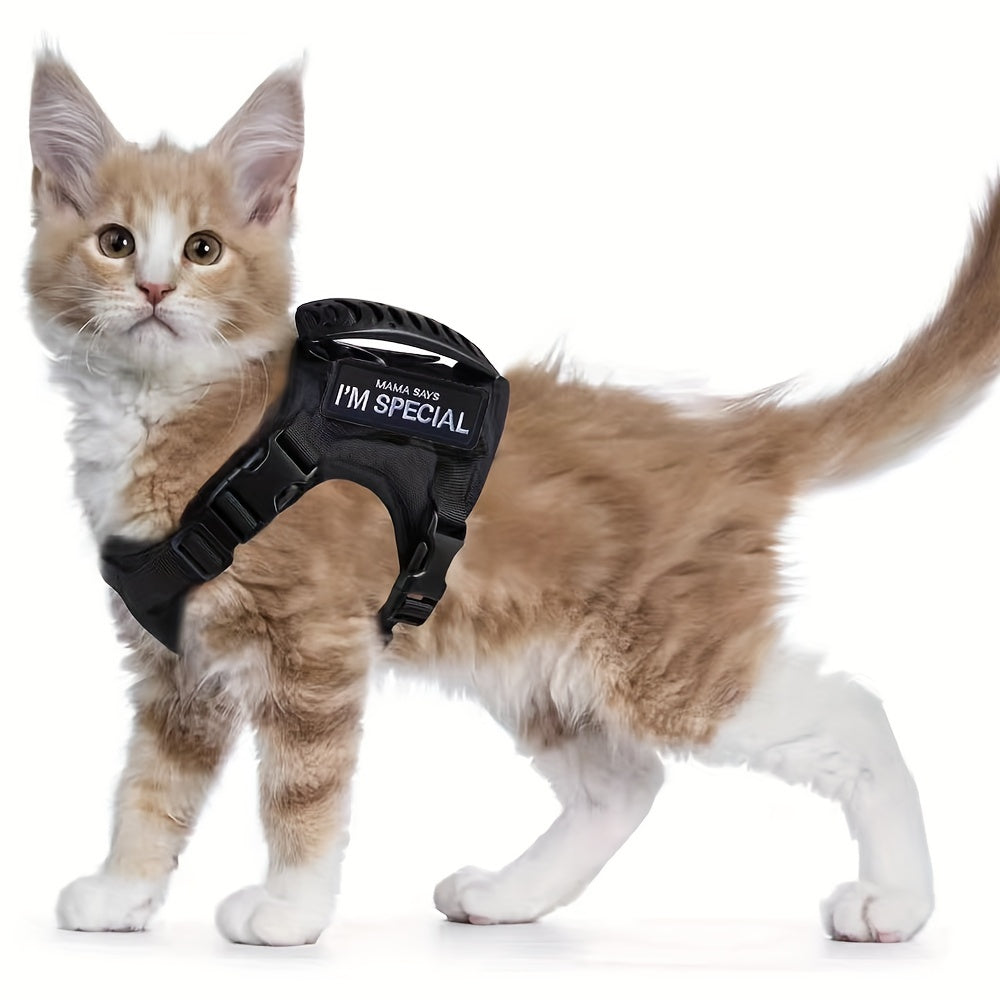 Harnais Tactique Réglable pour Chat avec Poignée de Contrôle