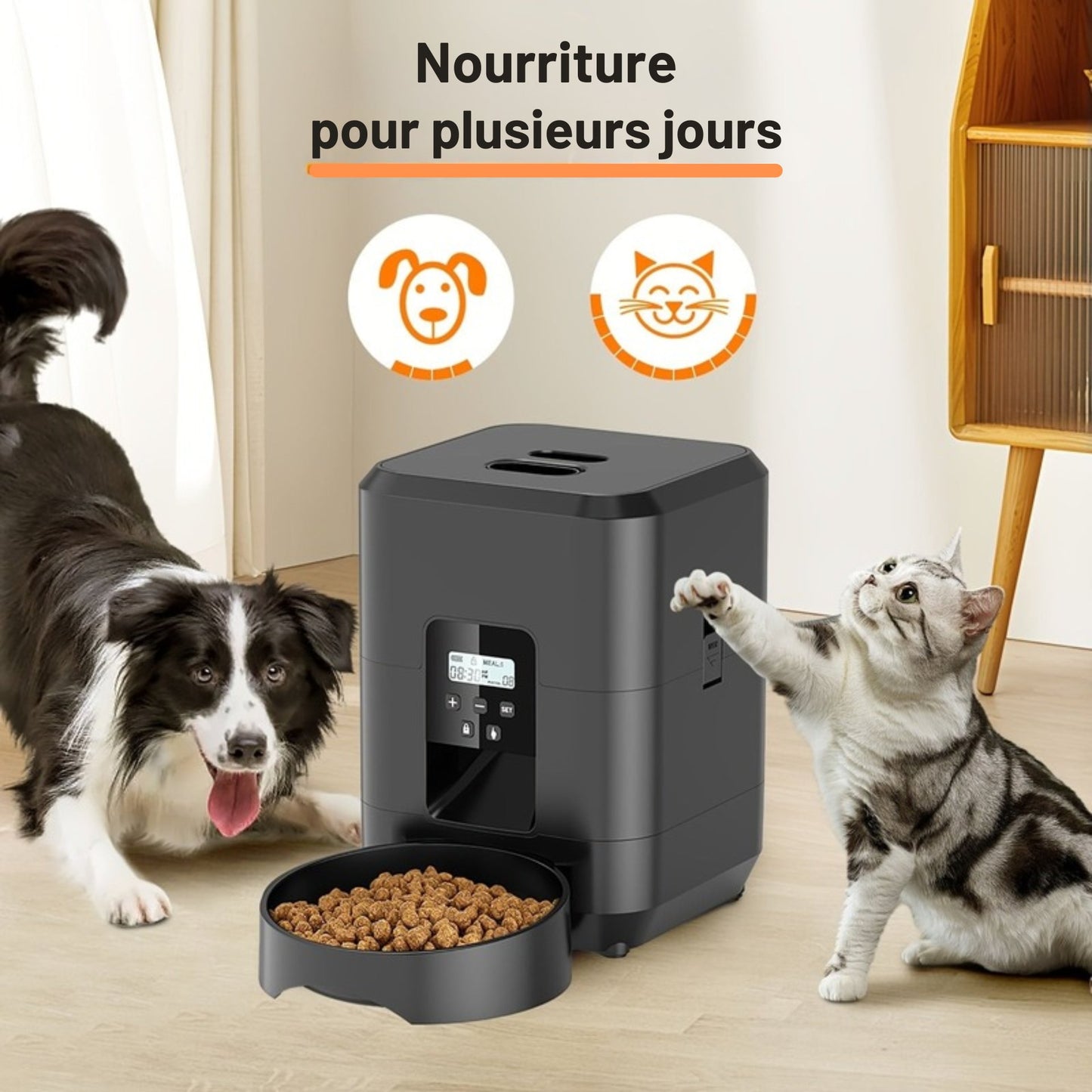 Distributeur 2L automatique programmable pour Chien et Chat