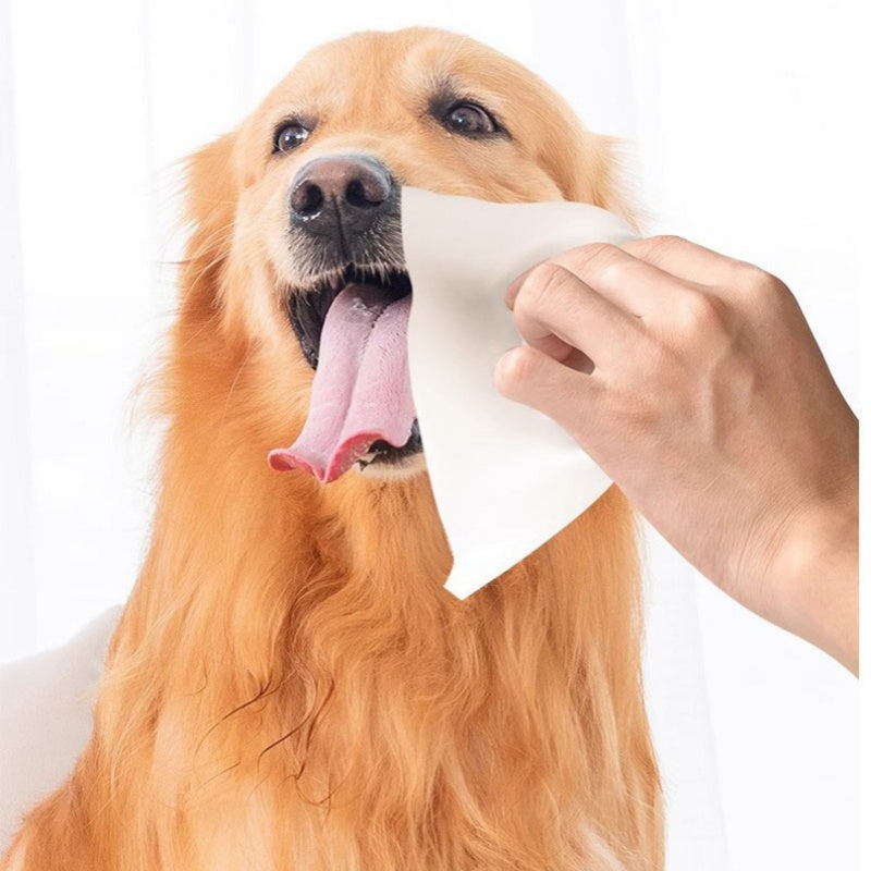 Lingettes Végétales Sans Parfum pour Chiens et Chats