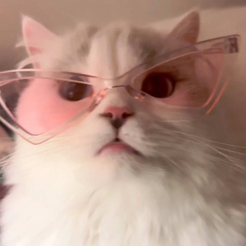 Lunettes Triangle Stylées pour Chats et Petits Chiens