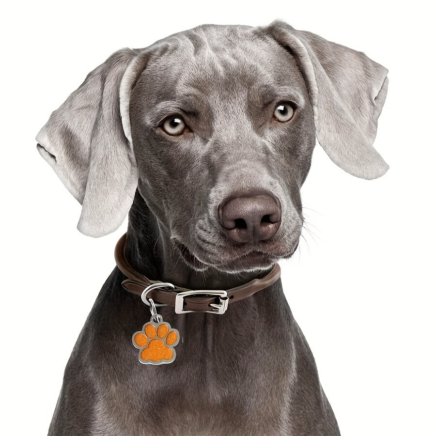 Médaille Patte colorée pour collier de Chien