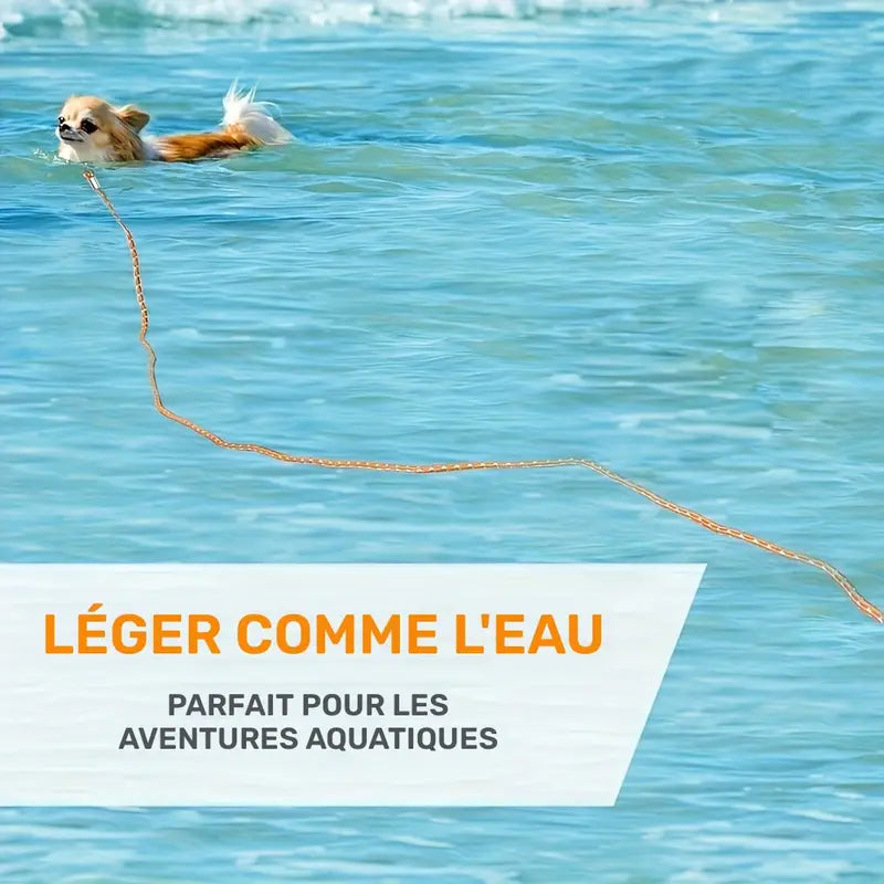 Longe Corde Orange Poignée Confort pour Chien