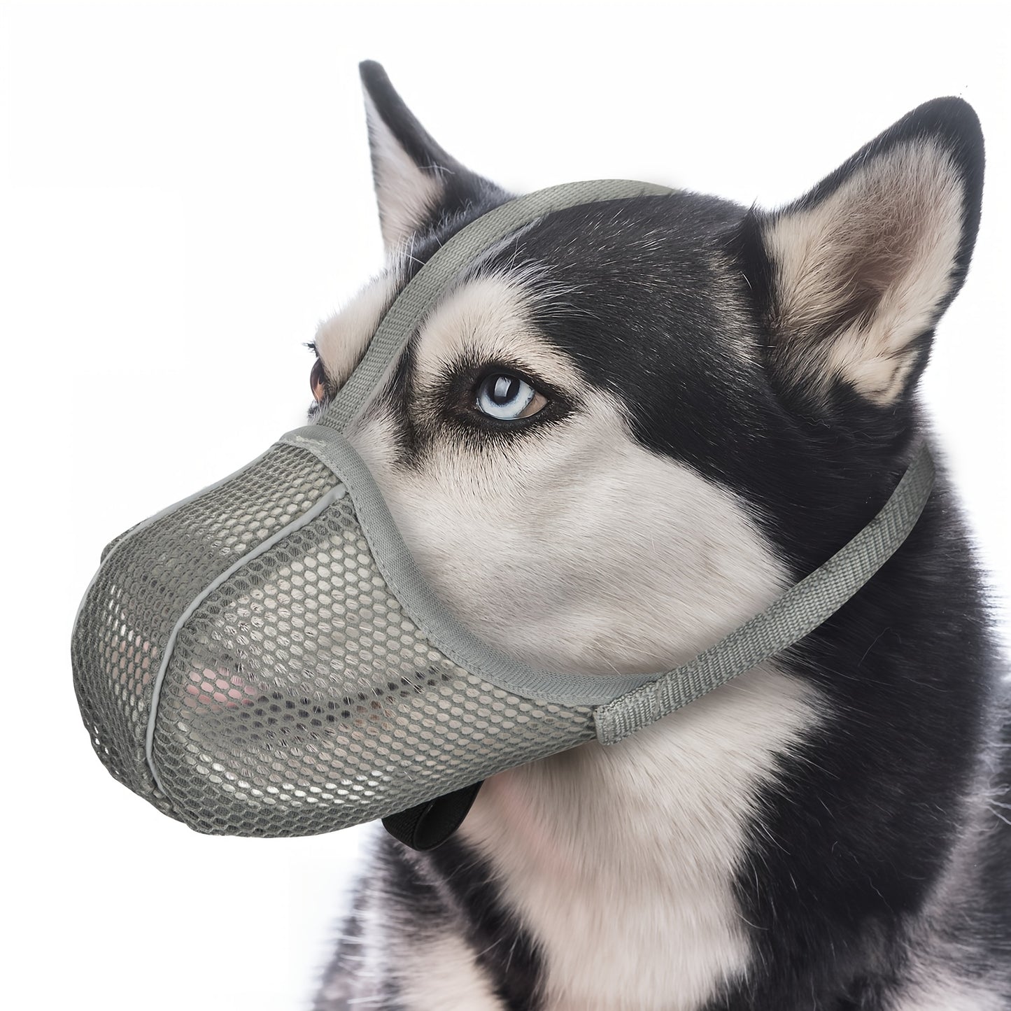 Muselière pour Chien en Maille Respirable
