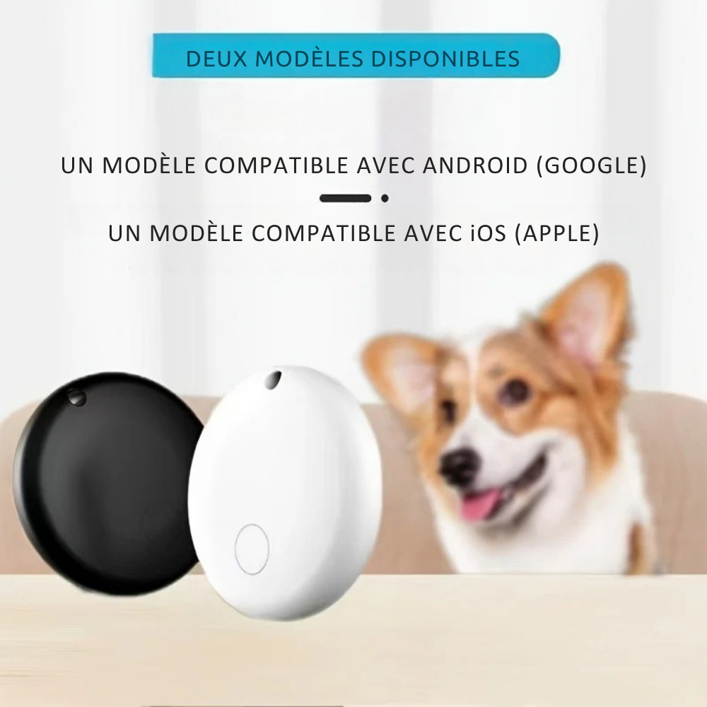Collier Connecté avec Boucle Sécurité et Localisation pour Chats