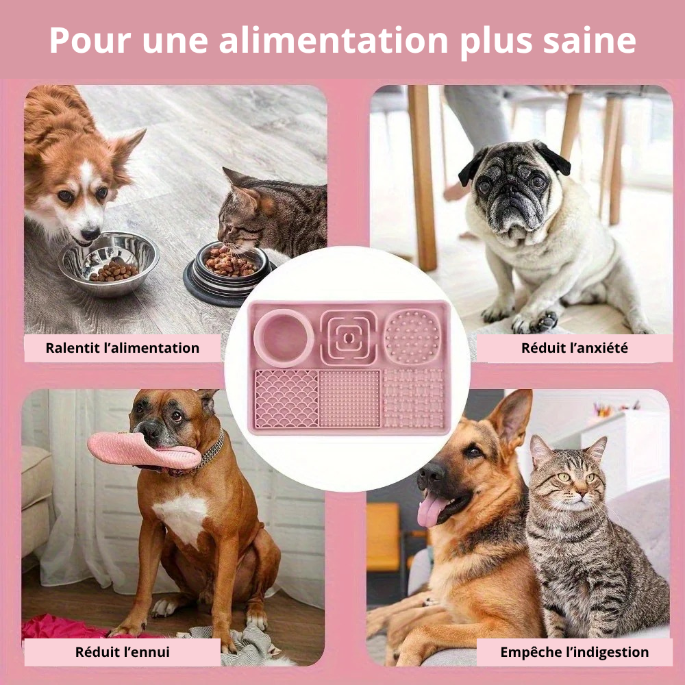 Tapis de Léchage Multifonction 6-en-1 pour Chiens