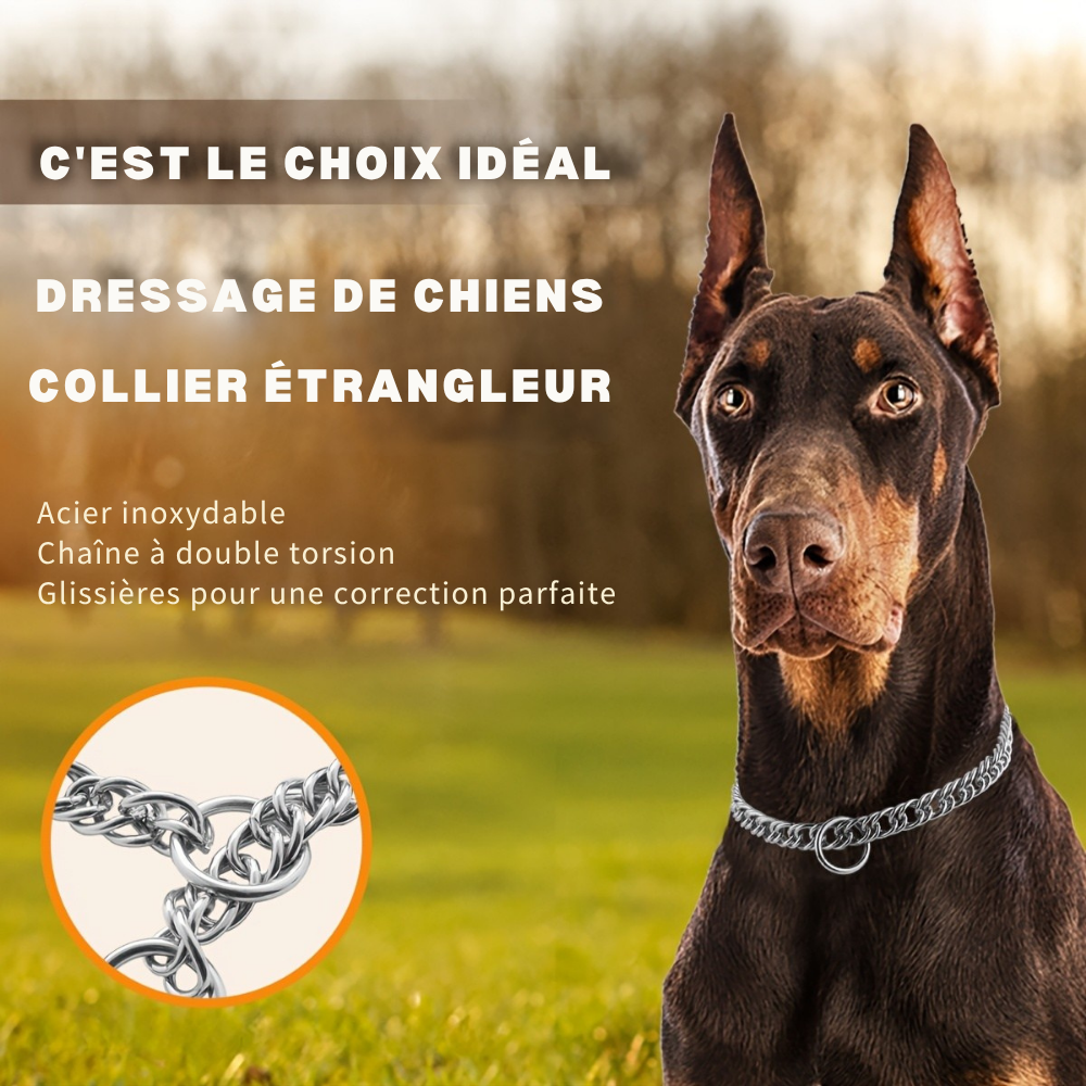 Collier étrangleur double torsion en acier inoxydable – spécial dressage comportemental