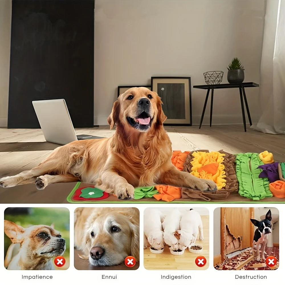 Grand Tapis de Fouille avec Carottes et Jouets Sonores