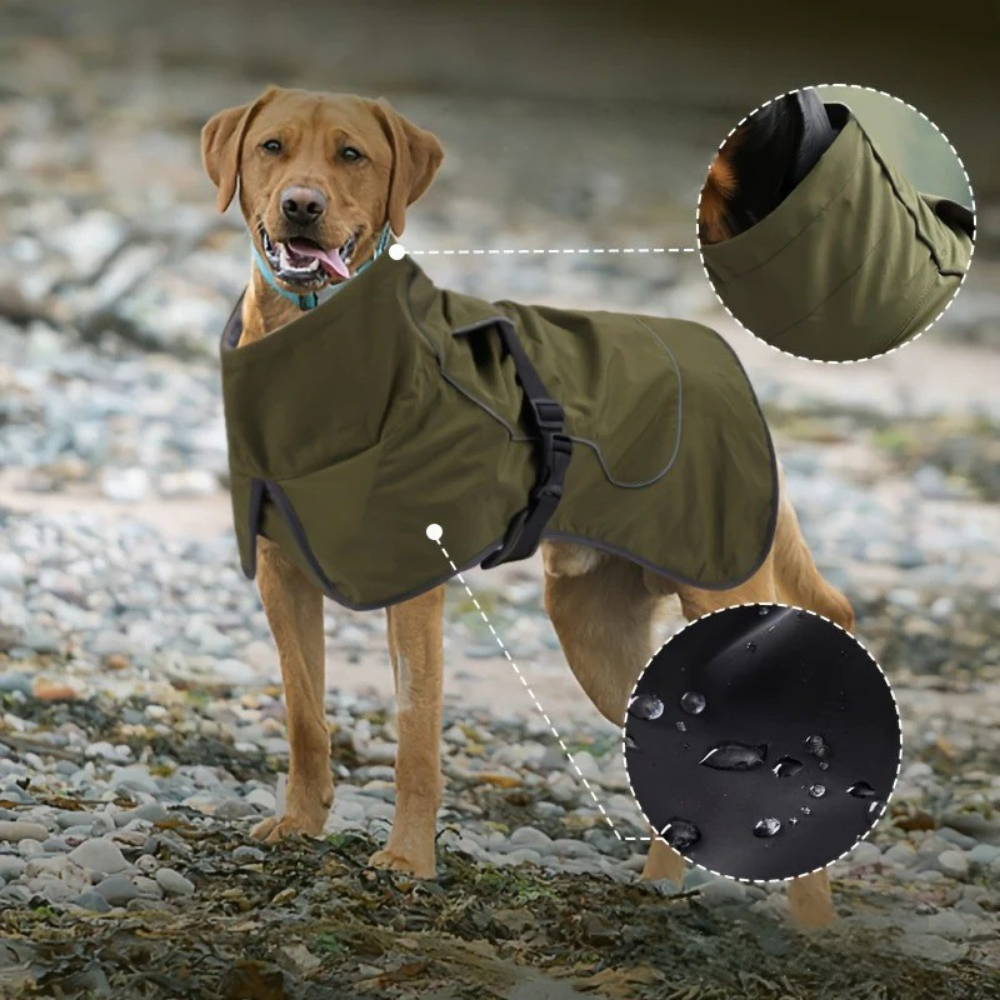 Manteau Imperméable Ajustable pour Chiens avec Col Haut
