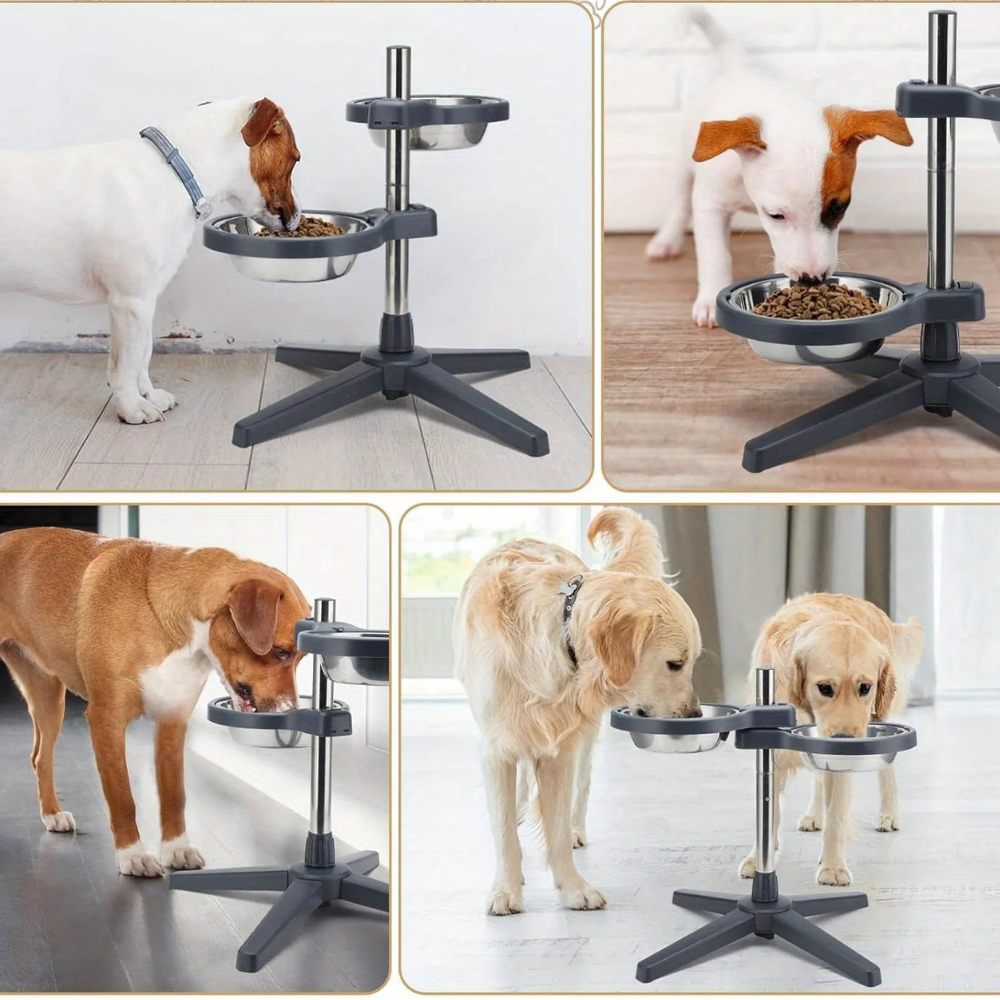 Gamelle surélevée ajustable en inox pour Chien