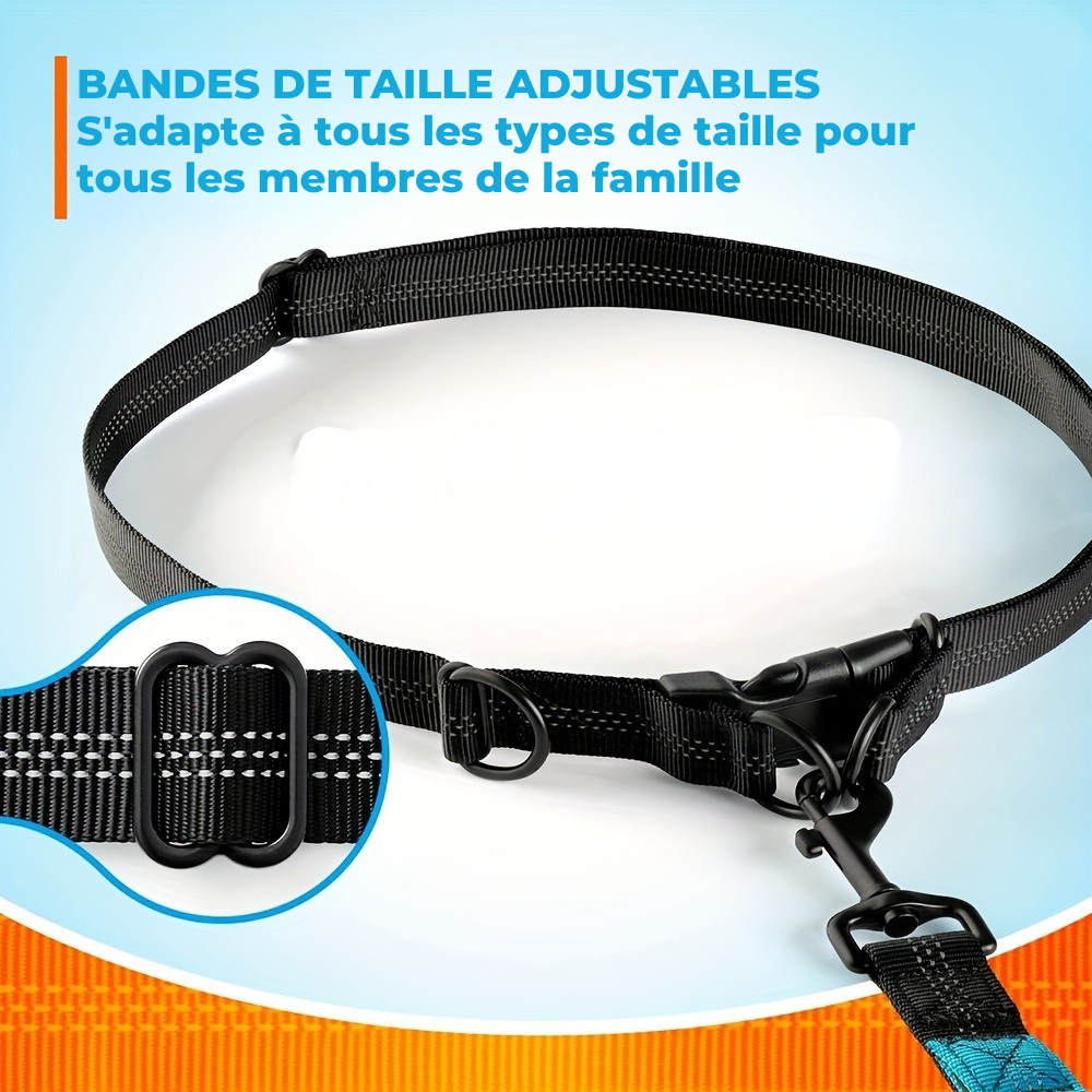Laisse Elastique Mains Libres pour Chien