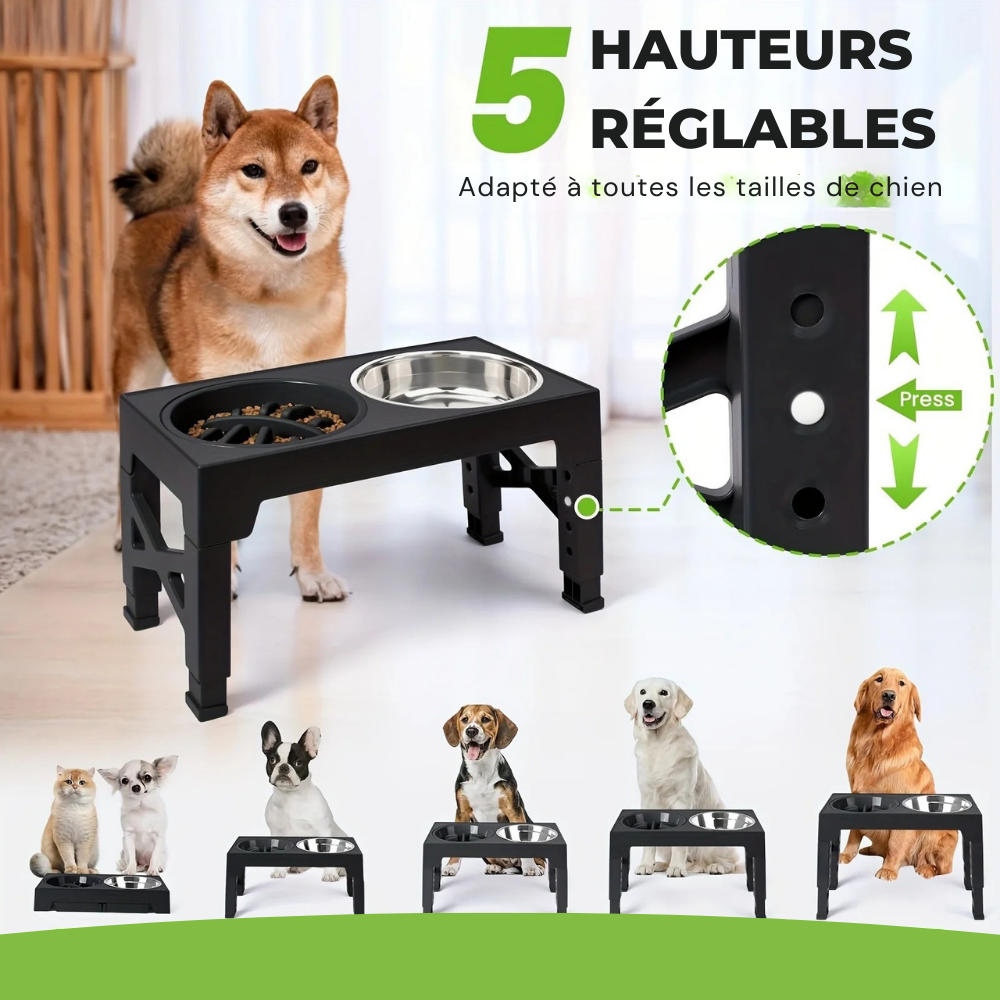 Gamelle double surélevée ajustable avec bol anti-glouton pour Chien
