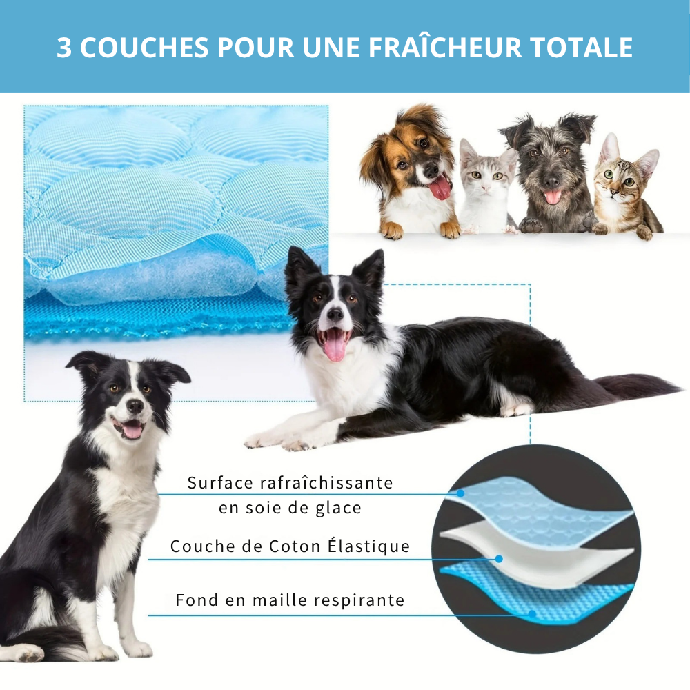 Tapis Rafraîchissant Extra-Large pour Chien – Ice Pad Respirant pour Été