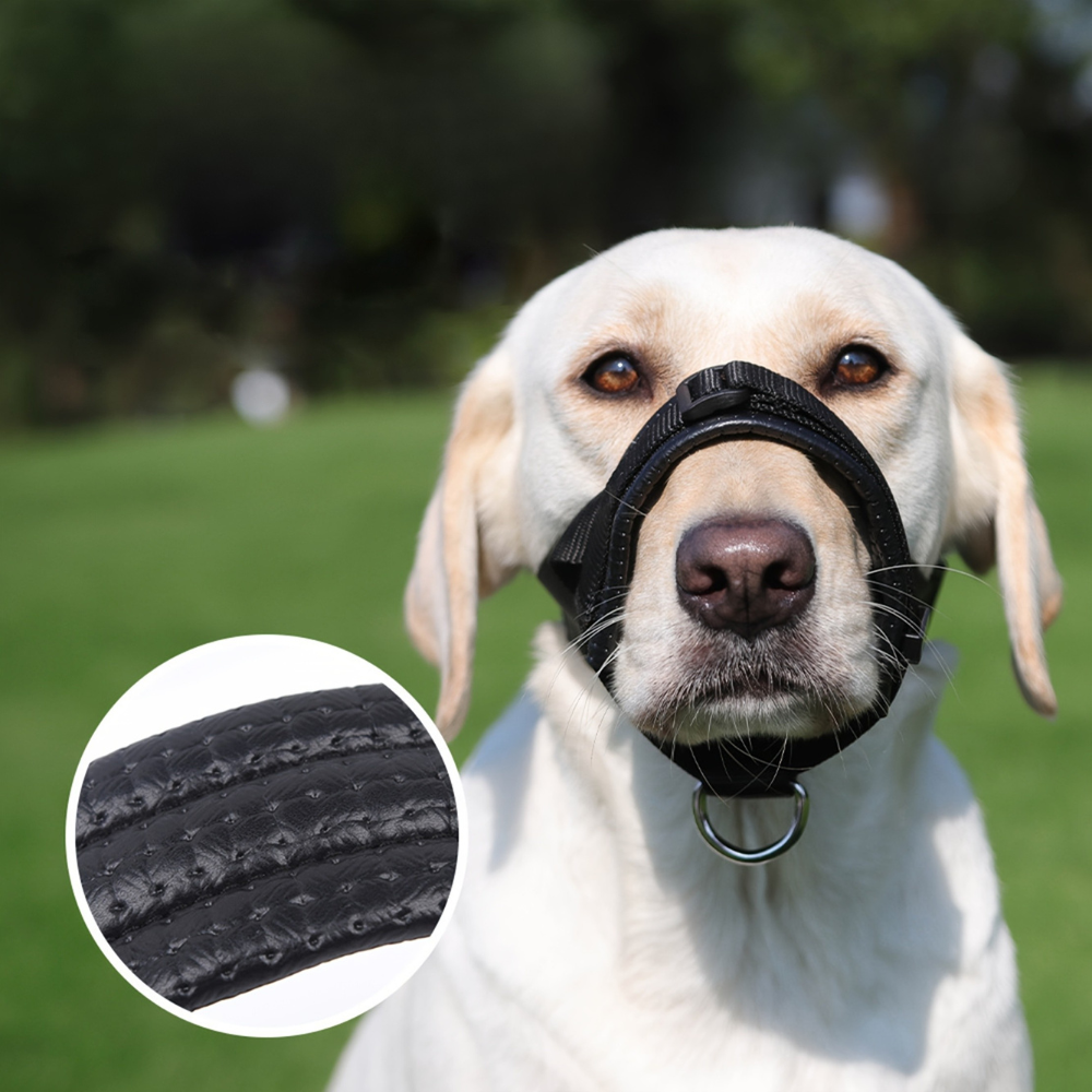 Muselière de dressage en nylon réglable – confort et contrôle sans gêne
