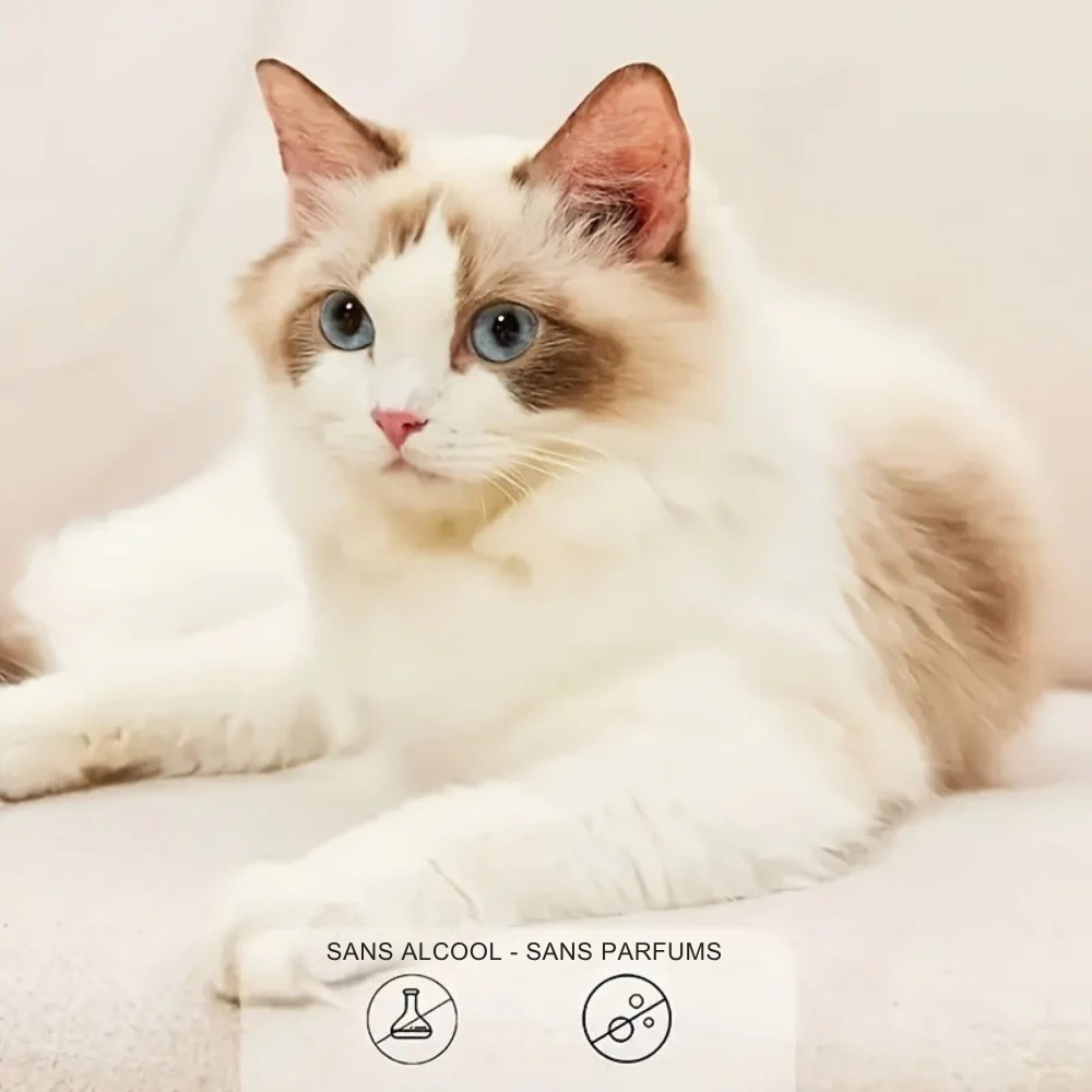 Lingettes de Toilette Sans Odeur pour Chiens et Chats