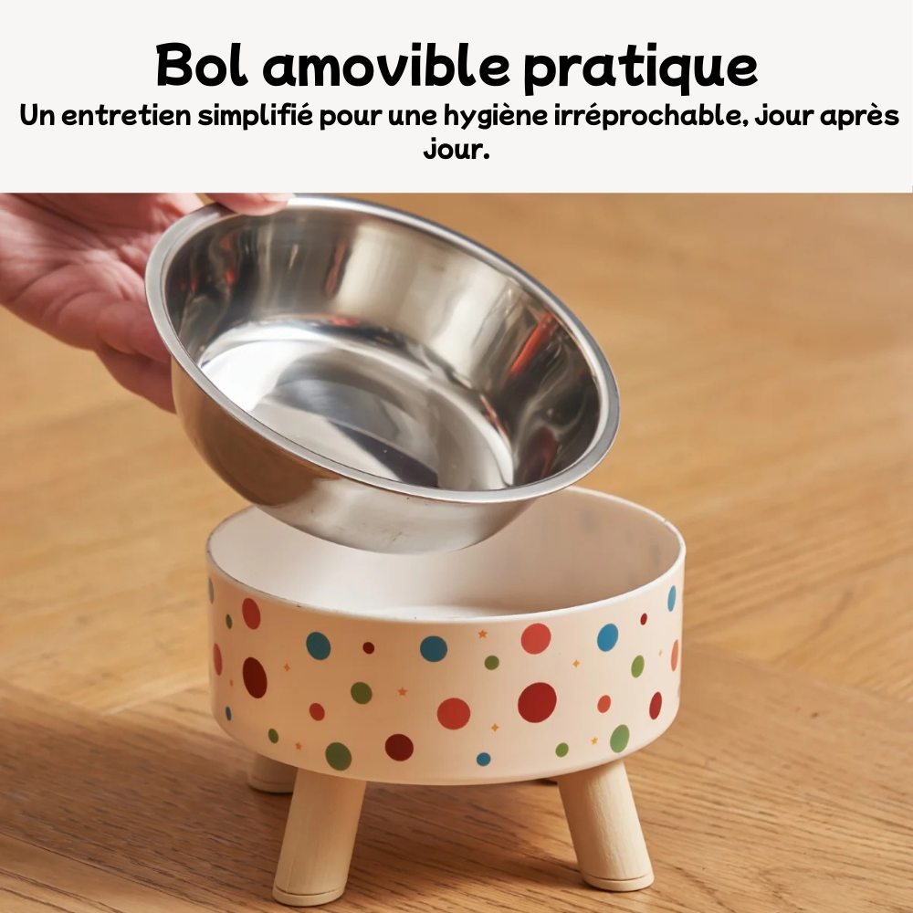 Gamelle surélevée en inox pour chien et chat