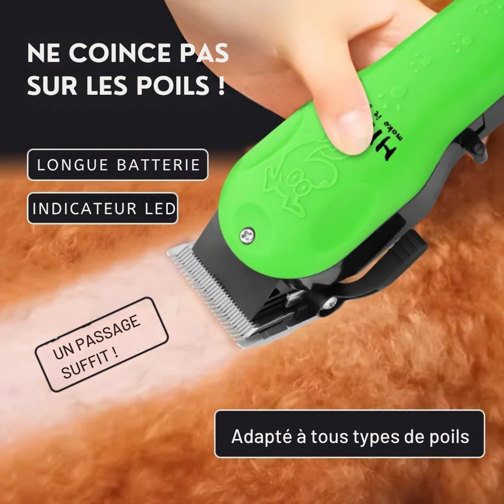 Tondeuse Professionnelle Rechargeable pour Chiens et Chats HIENA