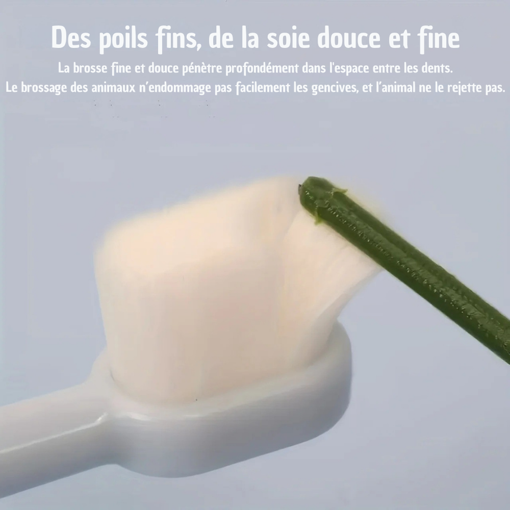 Kit Brosse à Dents Ultra-Douce & Dentifrice Bœuf pour Chiens