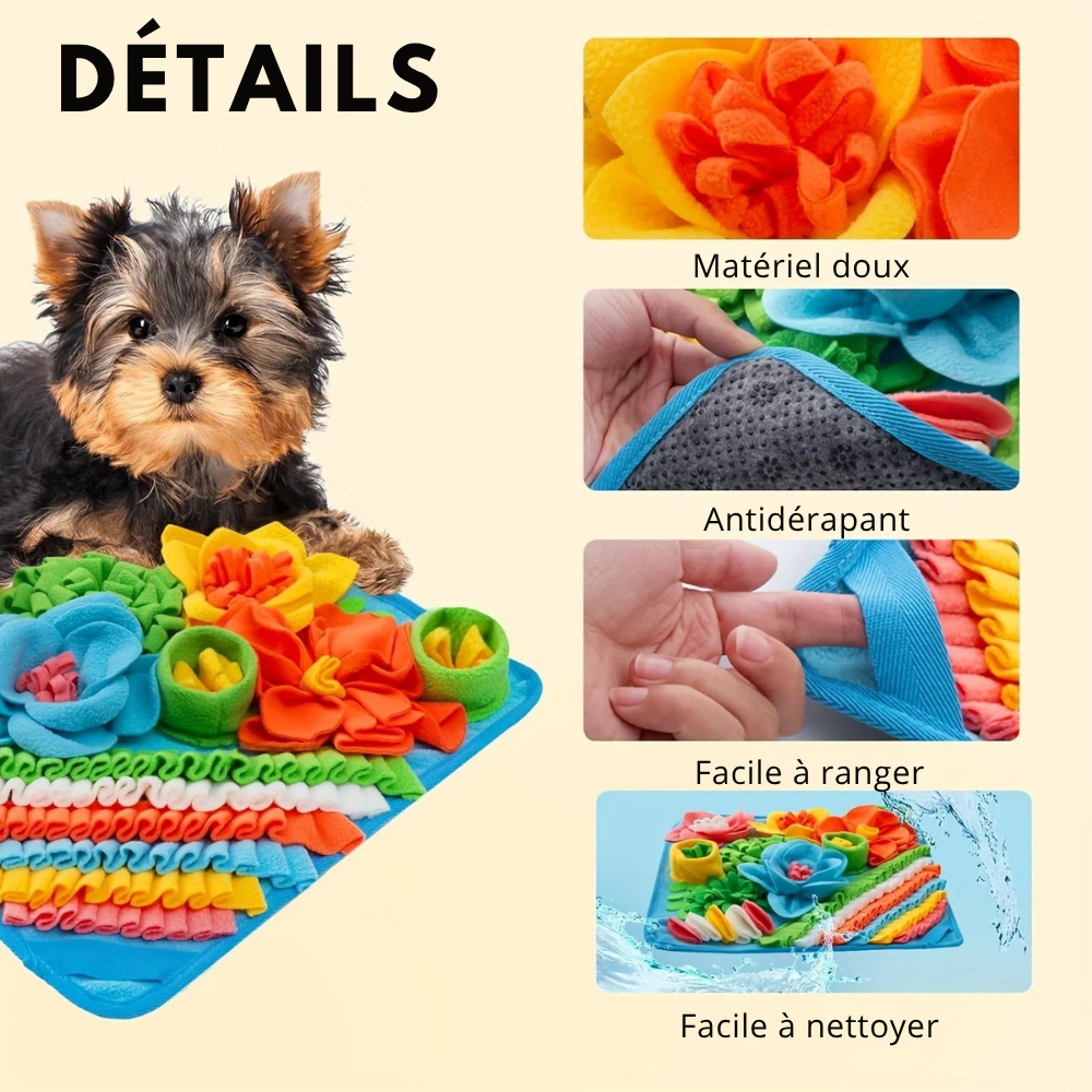 Tapis de Fouille Carré Multicolore – Jouet Éducatif Lavable pour Chiens