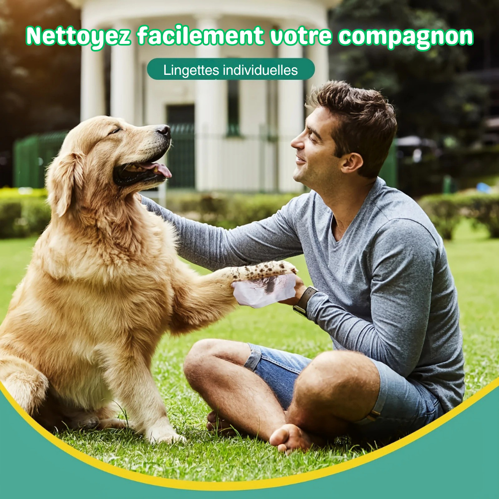 Lingettes Individuelles Multi-Usages SnapWipe