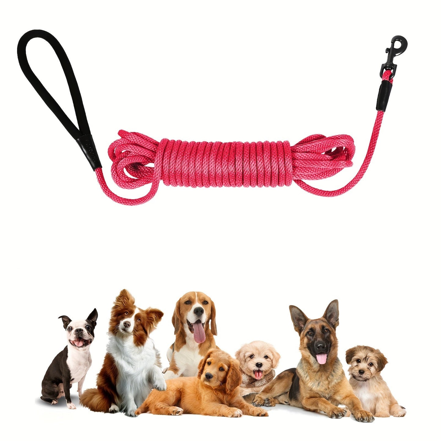 Longe d'Entraînement en Nylon pour Chien - 5M / 10M / 15M