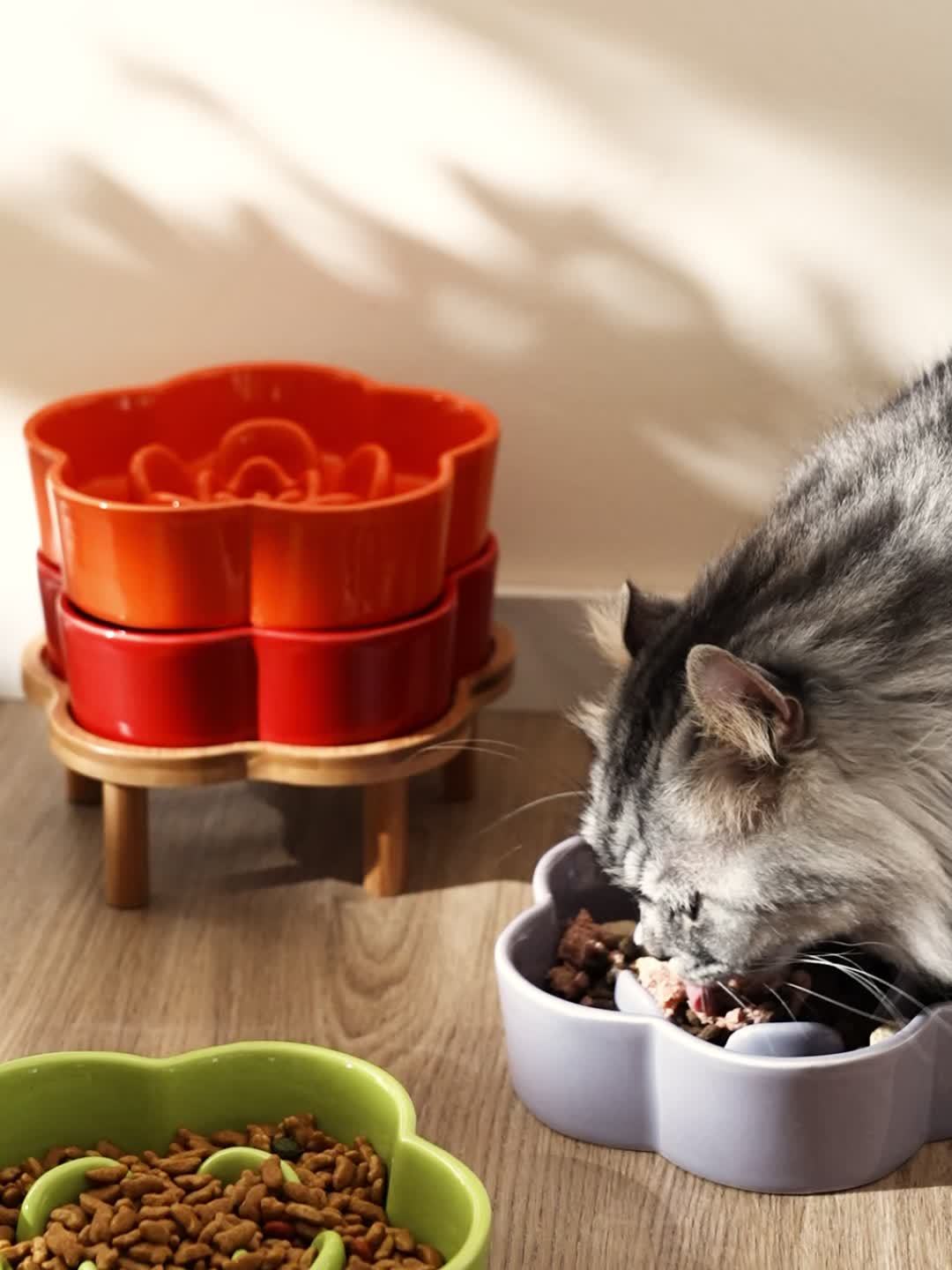 Gamelle anti-glouton en céramique pour Chien et Chat