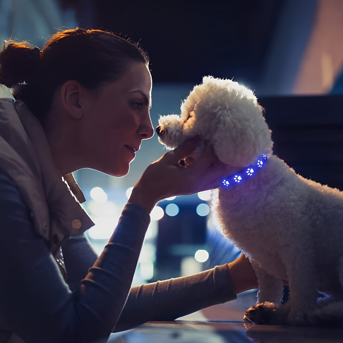 Collier lumineux à motif patte pour Chien - rechargeable par USB