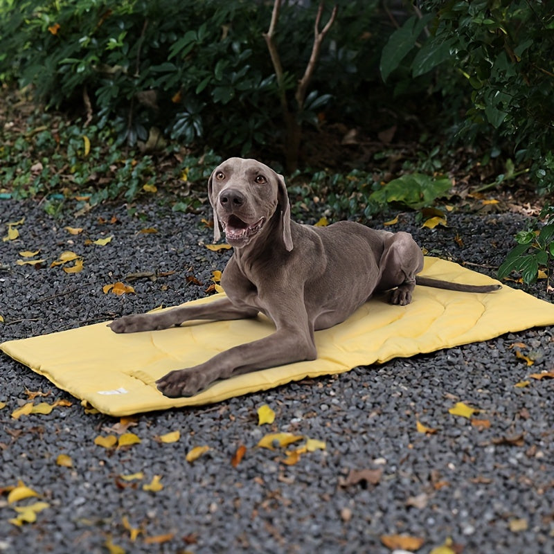 Couverture Pliable Rétro pour Chien – Matelassée, Portable et Élégante