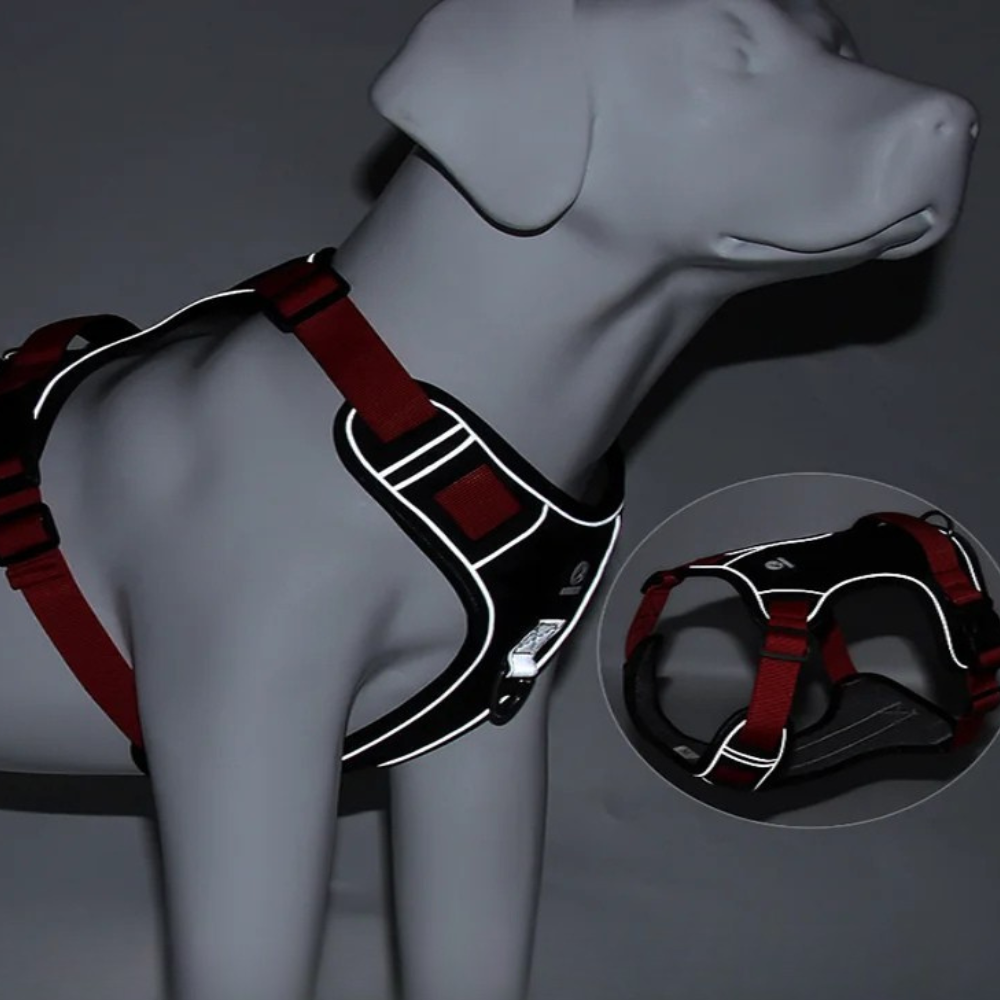 Harnais réfléchissant pour Chien