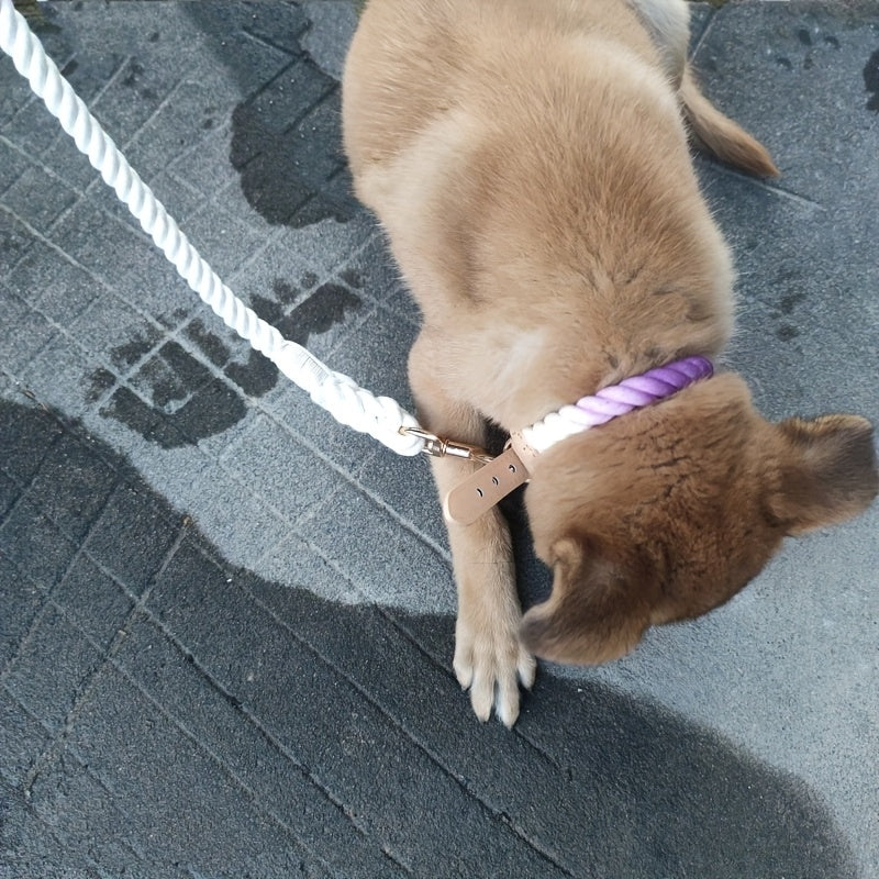 Collier Pastel Corde Tressée pour Chien