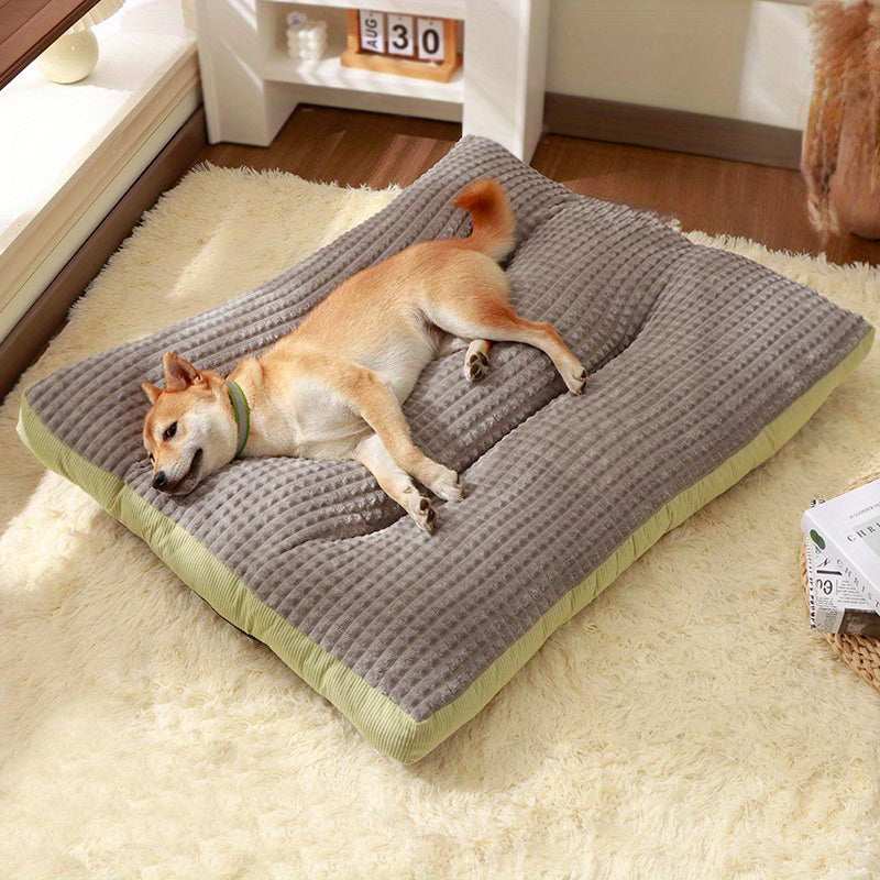 Extra Small to Large Dogs, No Assembly Required