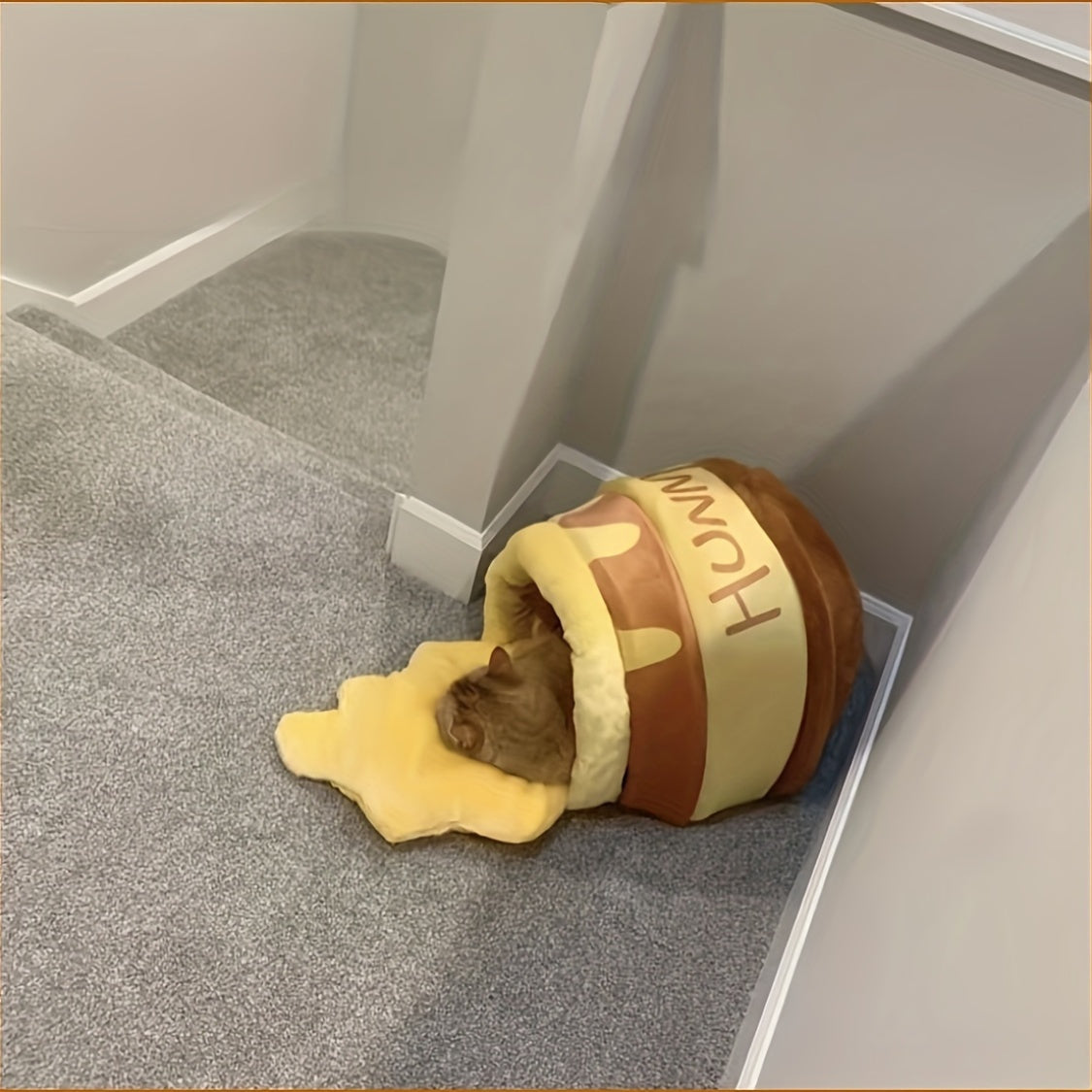 Panier Pot de Miel Douillet pour Chats