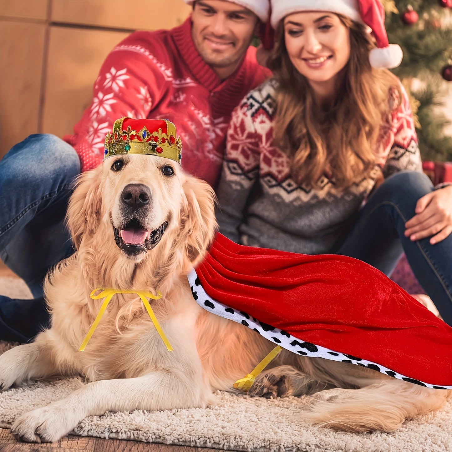 Costume Royal avec Cape et Couronne pour Chiens Moyens