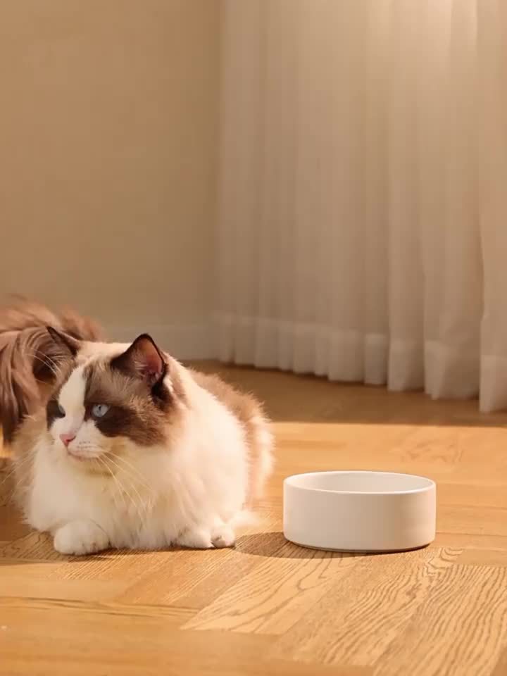 2 en 1 Distributeur automatique nourriture & eau pour chien et chat