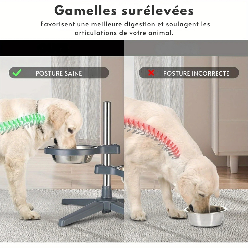 Gamelle surélevée ajustable en inox pour Chien