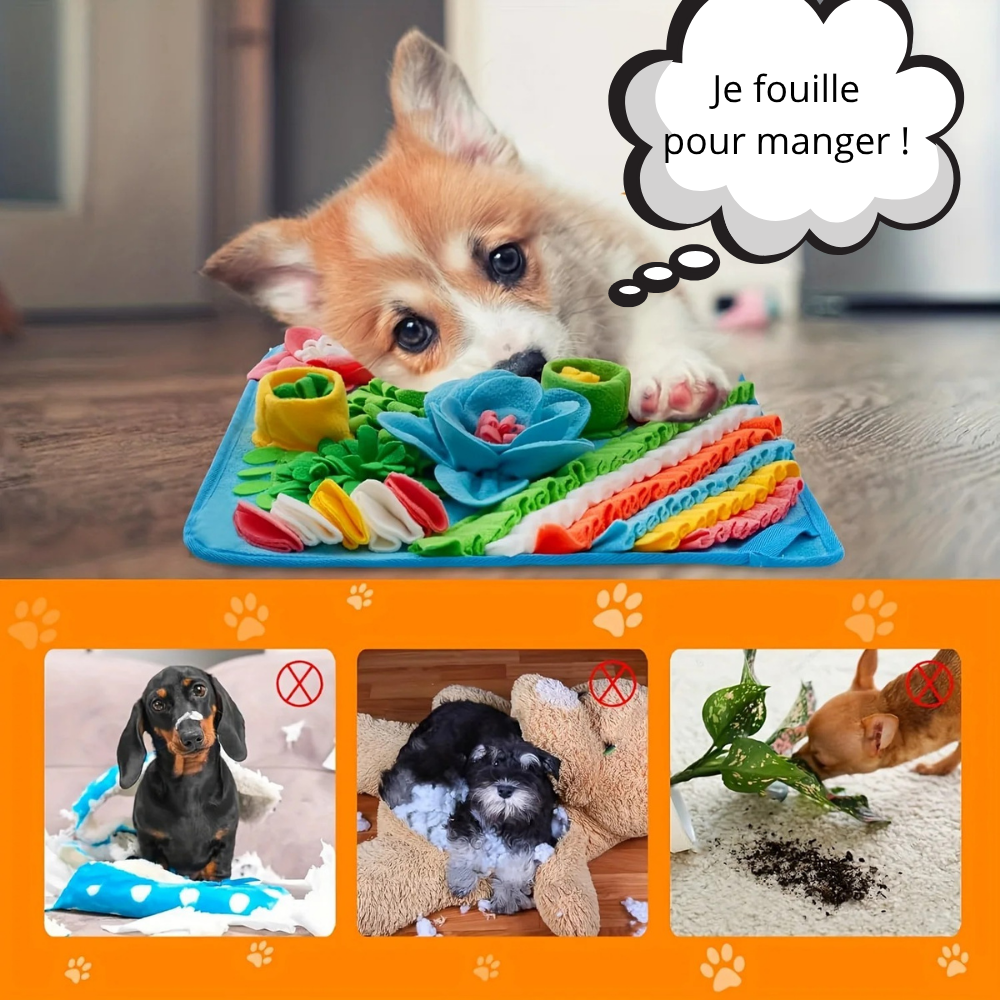 Tapis de Fouille Carré Multicolore – Jouet Éducatif Lavable pour Chiens