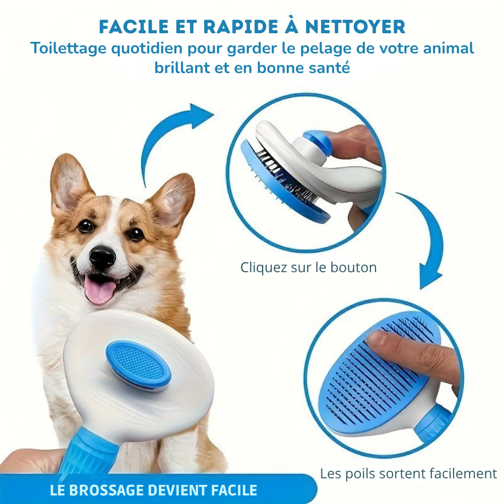 Kit de Toilettage 6-en-1 pour Chiens et Chats – Brosse, Gants, Serviette & Accessoires