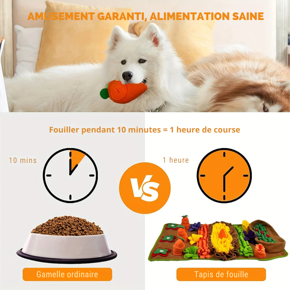 Tapis de Fouille Potager Sonore – Jouet Olfactif Lavable pour Chien