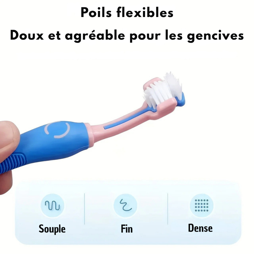 Kit de Soins Dentaires Sloppup pour Animaux