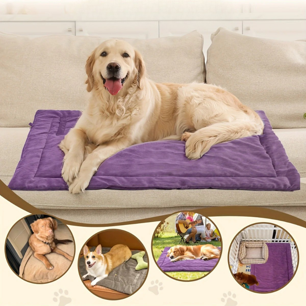 Tapis de Voyage Roulable pour Chien – Compact, Lavable et Tout-Temps