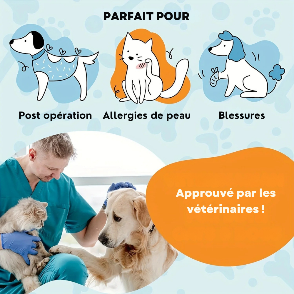 Collier de Récupération Gonflable pour Chiens et Chats