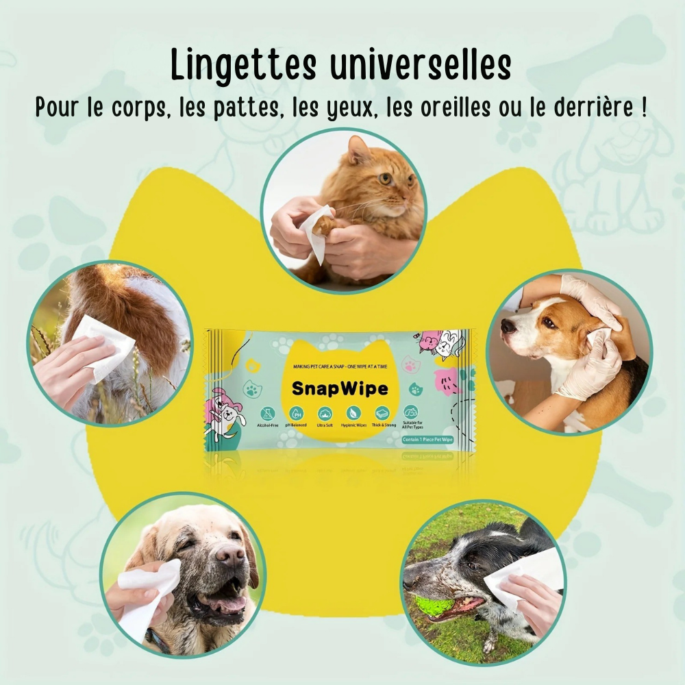 Lingettes Individuelles Multi-Usages SnapWipe